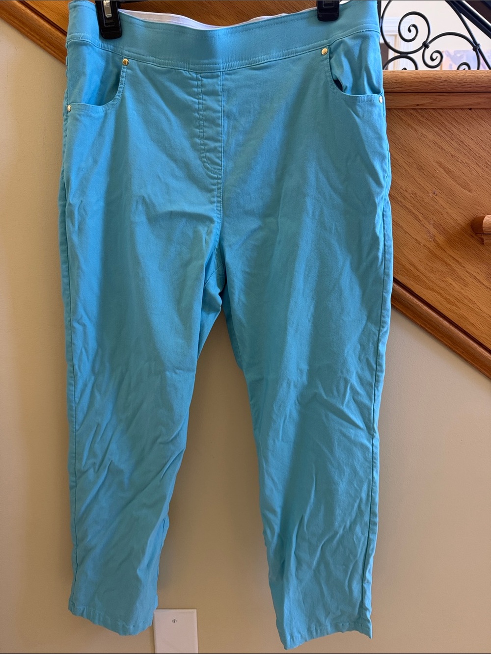 Anthony Women’s Aqua Blue Pull-On Ankle Pants Size Large